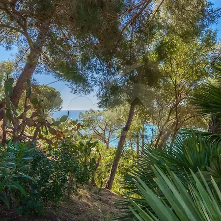 Casa Dell'asino - Goelba Lägenhet